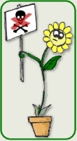 KRN house plants are against pesticides