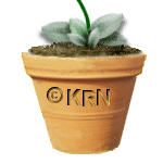 KRN House Plants is copyright